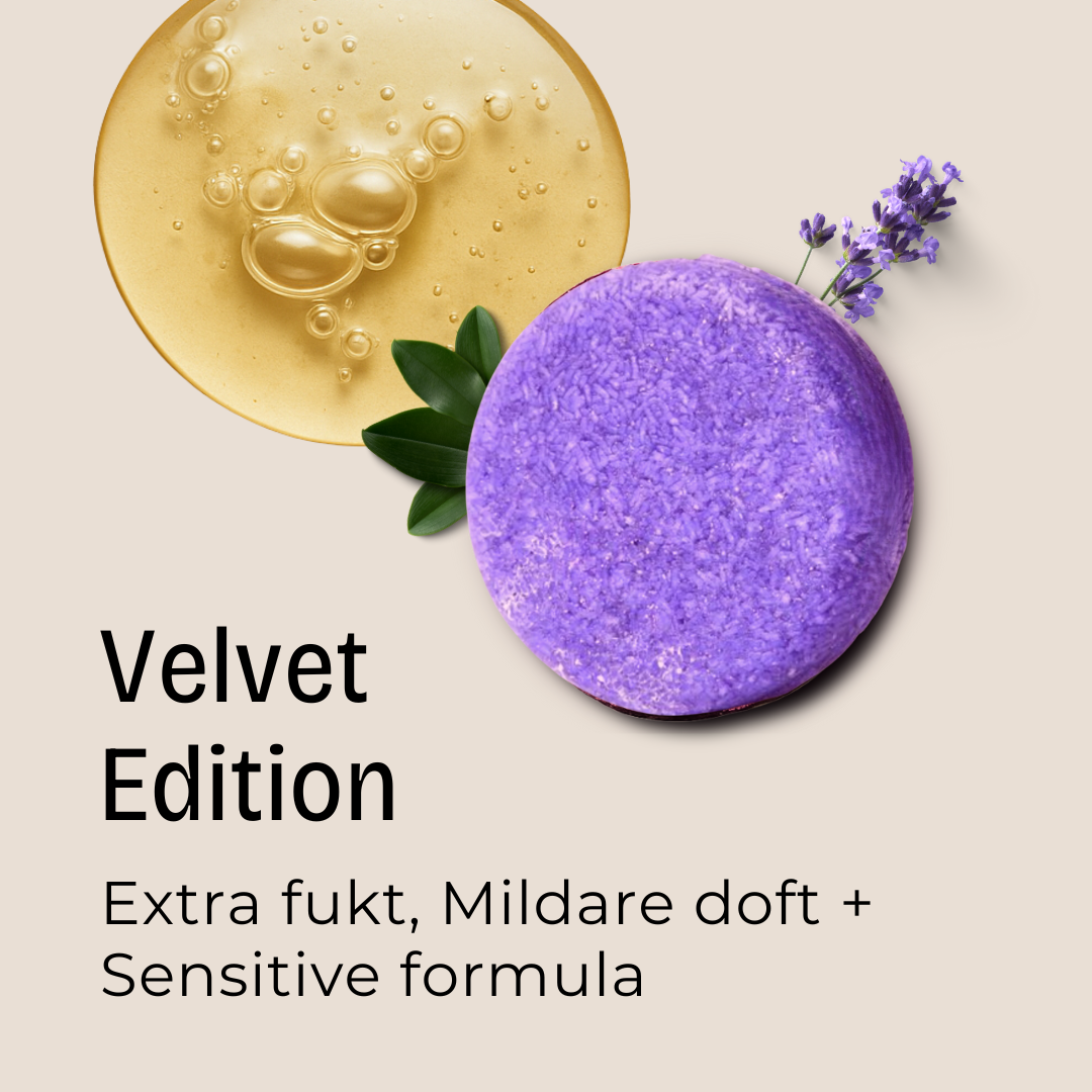 Lavendel Shampoo