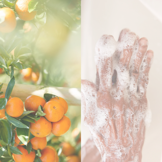 RÄDDA – Citrus Amara Soap 110g