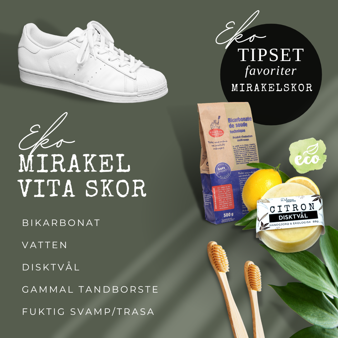 Tvätt- Städ- och Disktvål, Barrskog