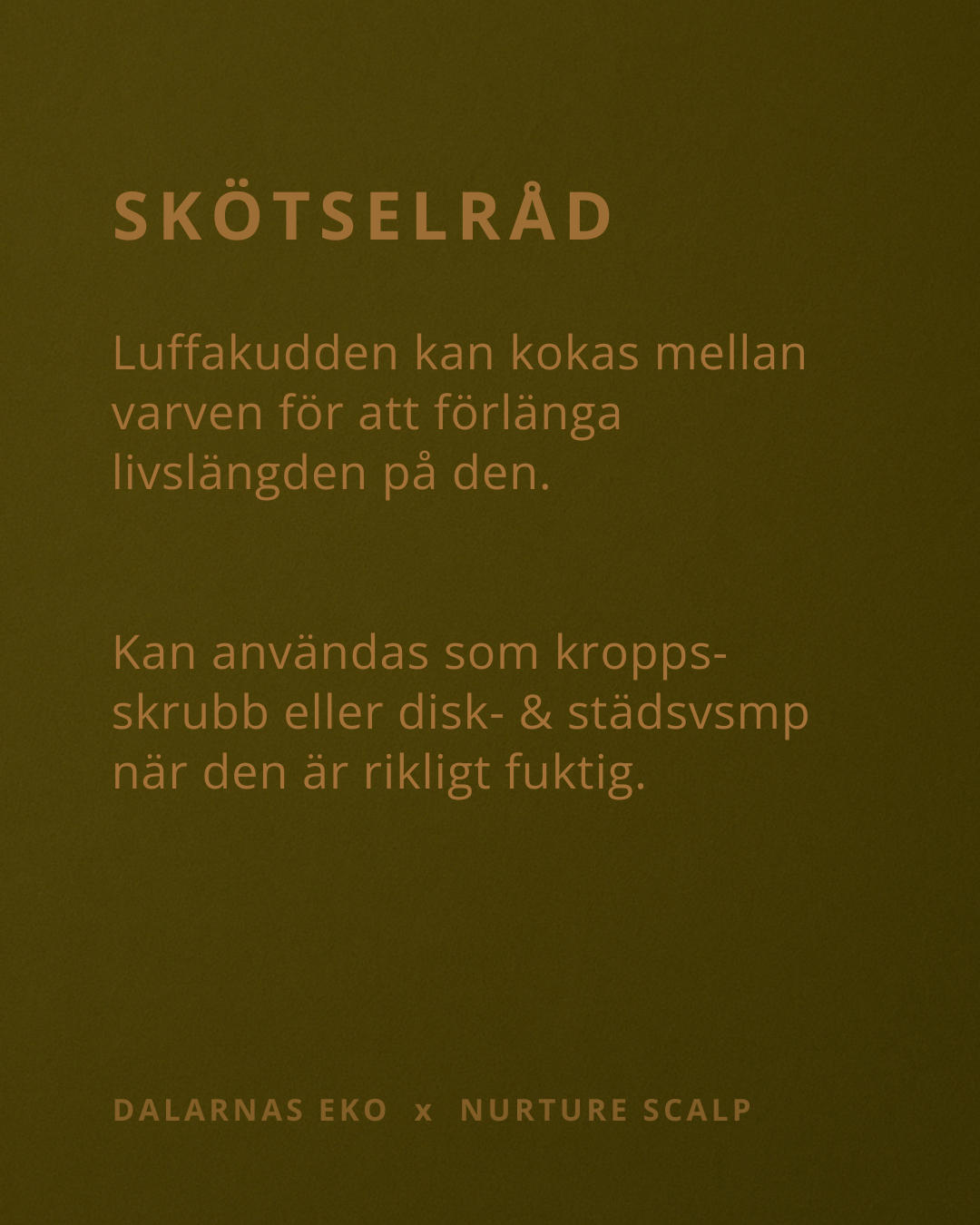 Luffakudde 0,5-1 cm - Naturens egna tvålfat till förvaringsdosa 150