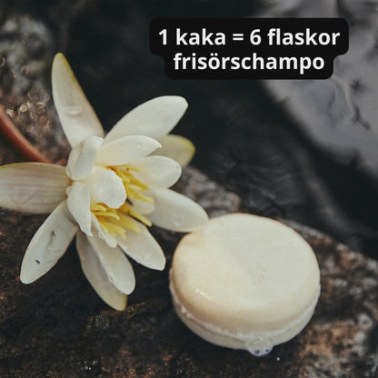 PRO Shampoo Color Pop