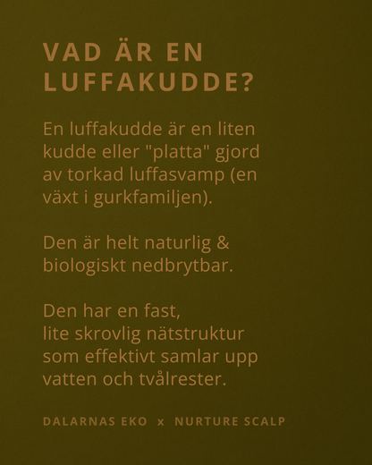 Luffakudde 0,5-1 cm - Naturens egna tvålfat till förvaringsdosa 150